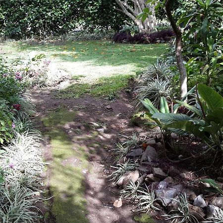 Hotel Las Orquideas Monteverde Εξωτερικό φωτογραφία