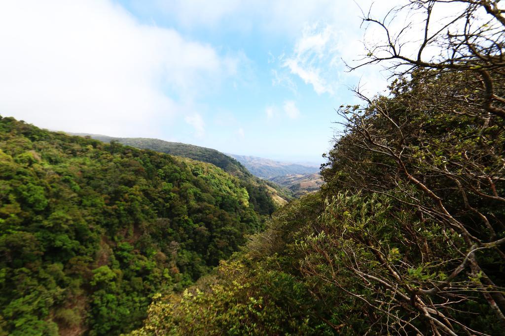Hotel Las Orquideas Monteverde Εξωτερικό φωτογραφία
