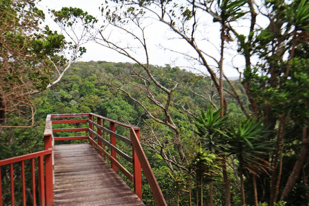 Hotel Las Orquideas Monteverde Εξωτερικό φωτογραφία