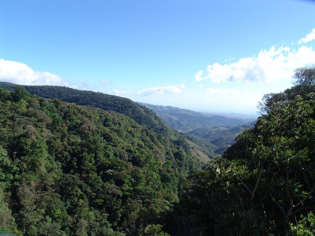 Hotel Las Orquideas Monteverde Εξωτερικό φωτογραφία
