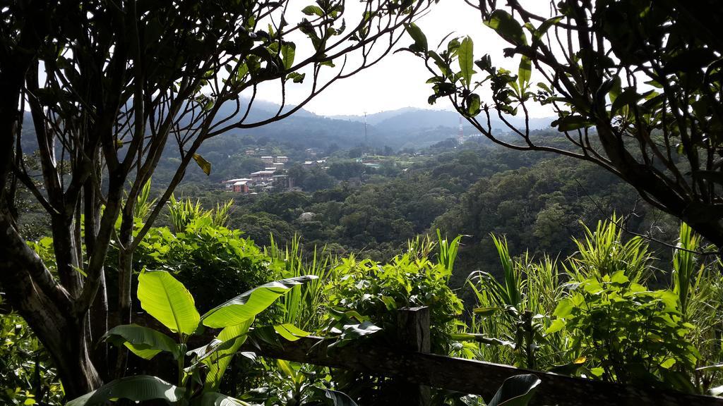 Hotel Las Orquideas Monteverde Εξωτερικό φωτογραφία
