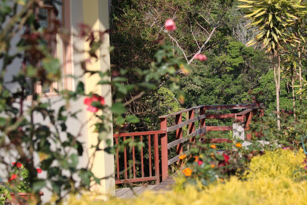 Hotel Las Orquideas Monteverde Εξωτερικό φωτογραφία