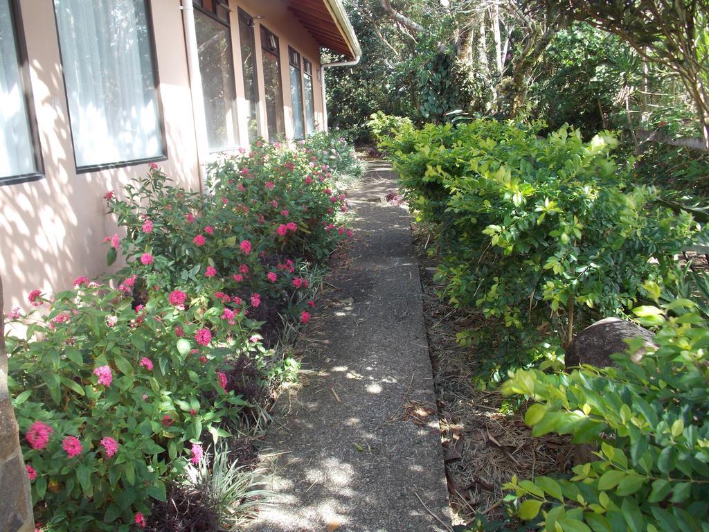 Hotel Las Orquideas Monteverde Εξωτερικό φωτογραφία