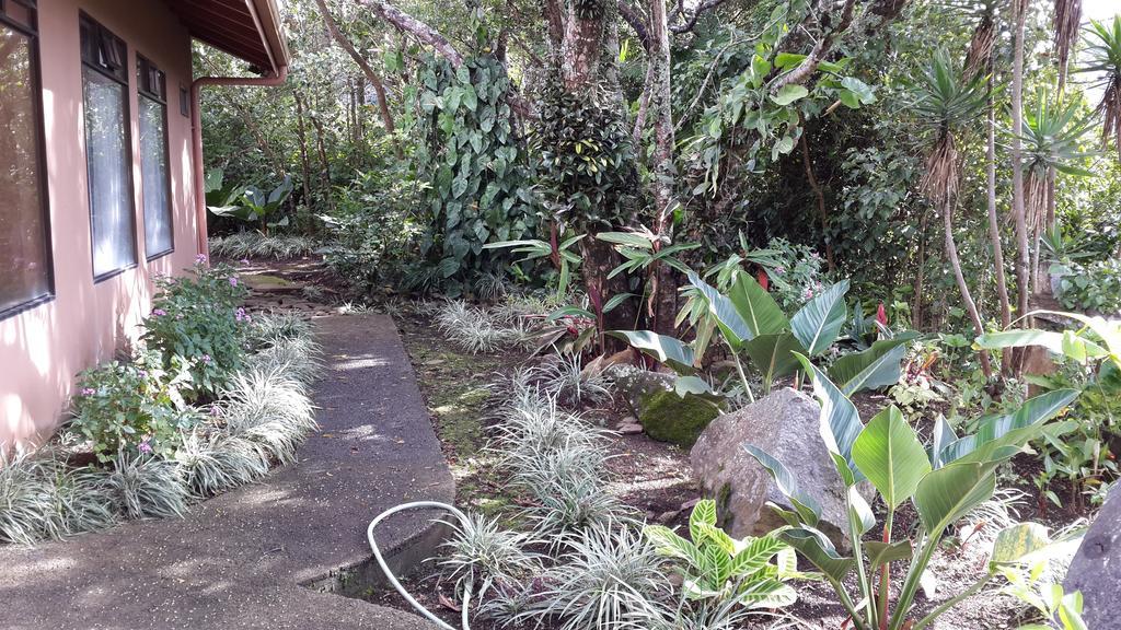 Hotel Las Orquideas Monteverde Εξωτερικό φωτογραφία