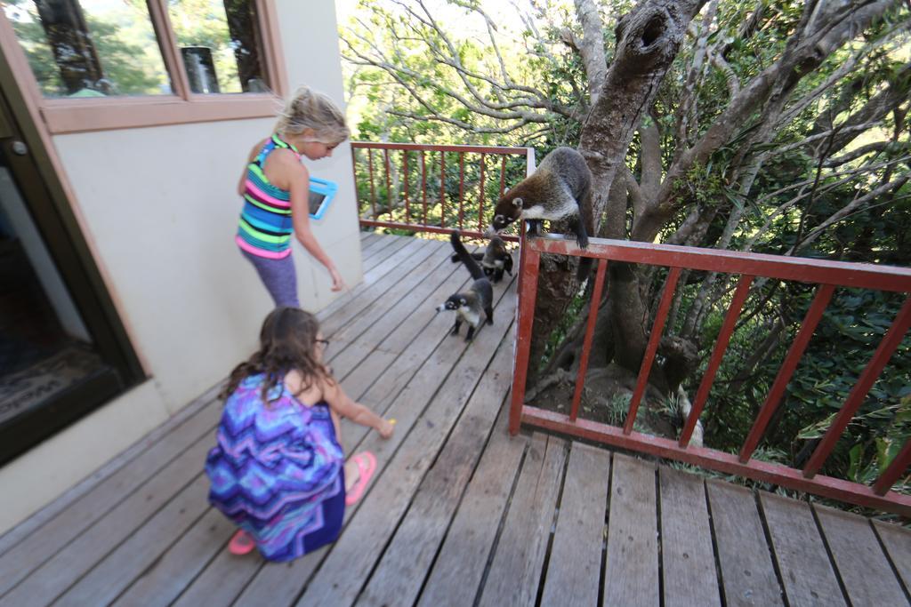 Hotel Las Orquideas Monteverde Εξωτερικό φωτογραφία